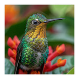 Close Up Of A Hummingbird On Red Flowers (Print Only) thumbnail