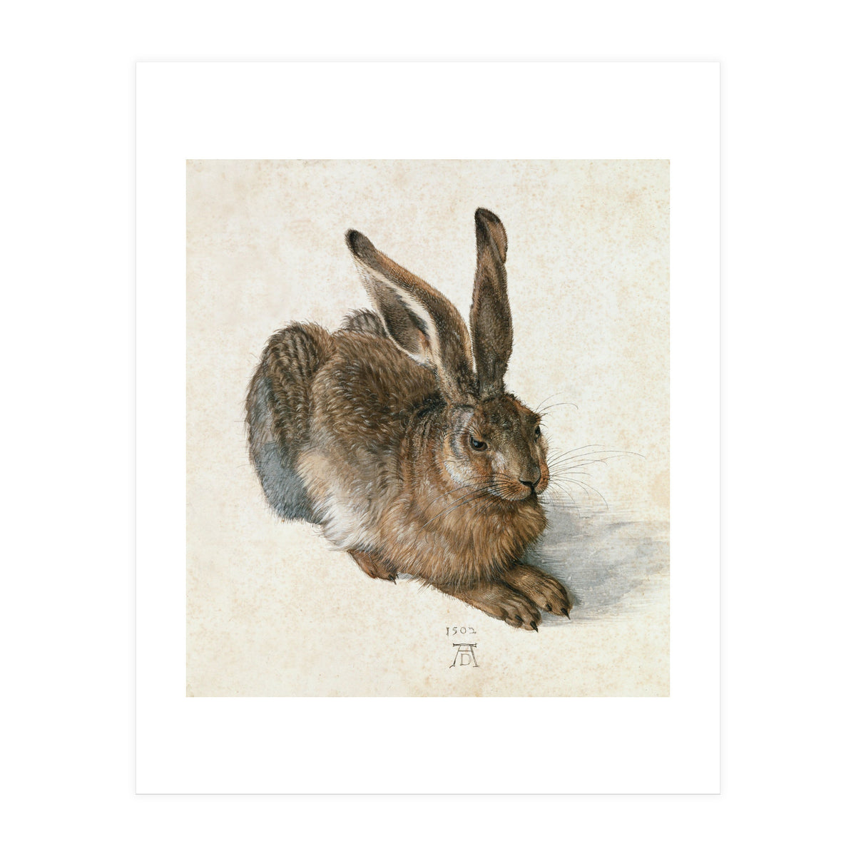 Hare-Hase. Watercolour. (Print Only)
