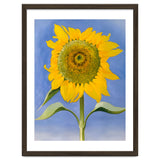 Georgia O’Keeffe – Sunflower, New Mexico (1935) | Bold Modernist Floral Painting Inspired by the American Southwest thumbnail