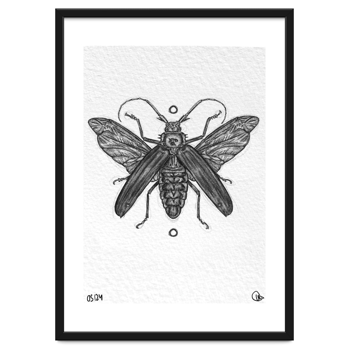 Riesen Longhorn Käfer