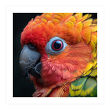 Close Up Sun Conure Parrot Eye Feathers  (Print Only) thumbnail