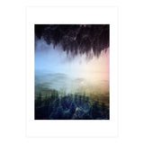 Magic Woods (Print Only) thumbnail