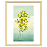 Lemon Tree thumbnail