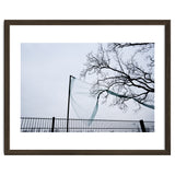 Net caught in a tree thumbnail