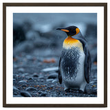 King Penguin Standing In The Rain thumbnail