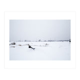 Drinking fountain covered with snow (Print Only) thumbnail
