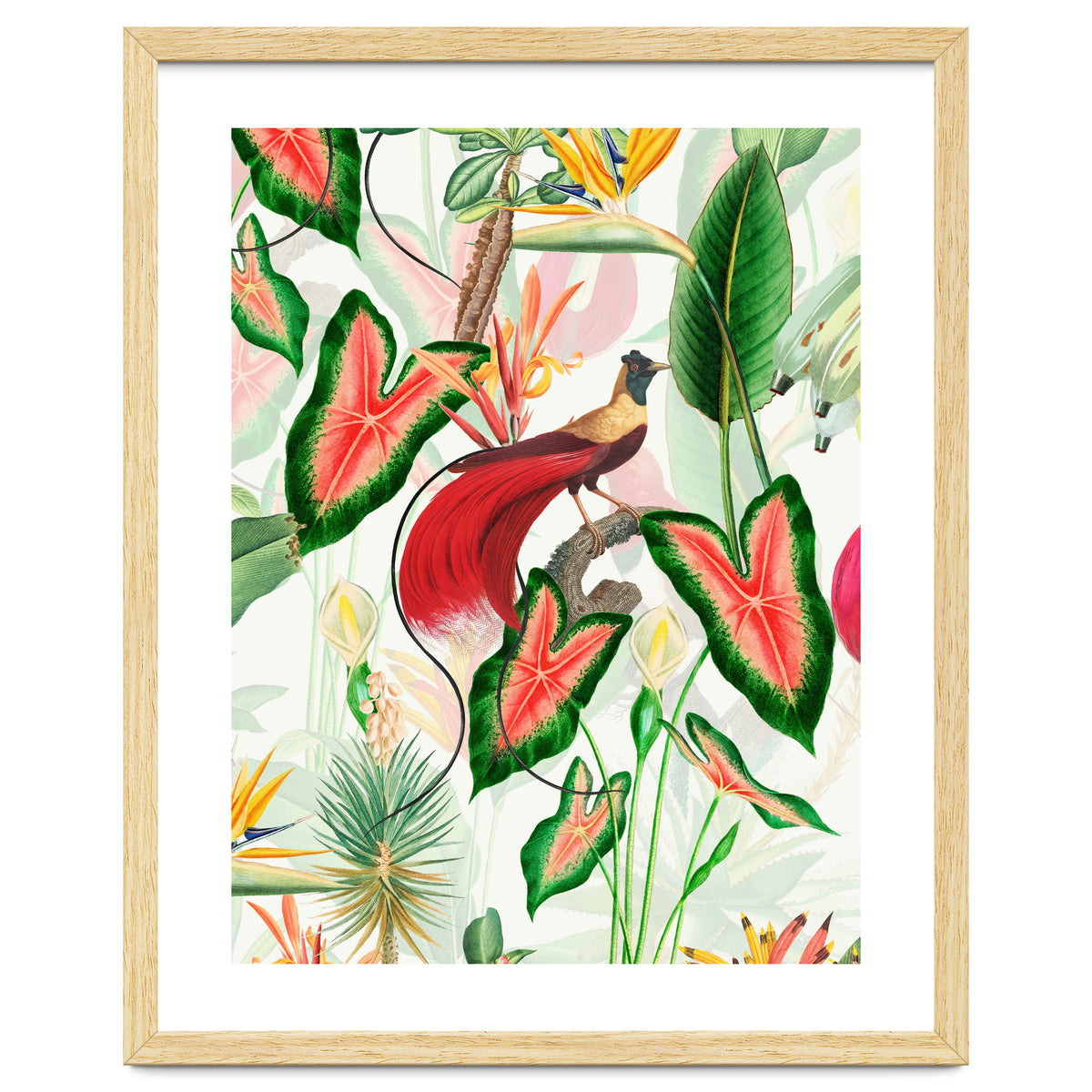 Vintage Bird Of Paradise in Jungle