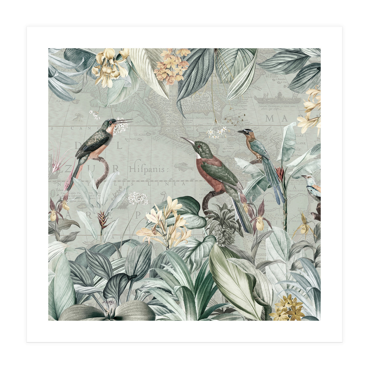 Vintage Exotic Birds Paradise Jungle (Print Only)