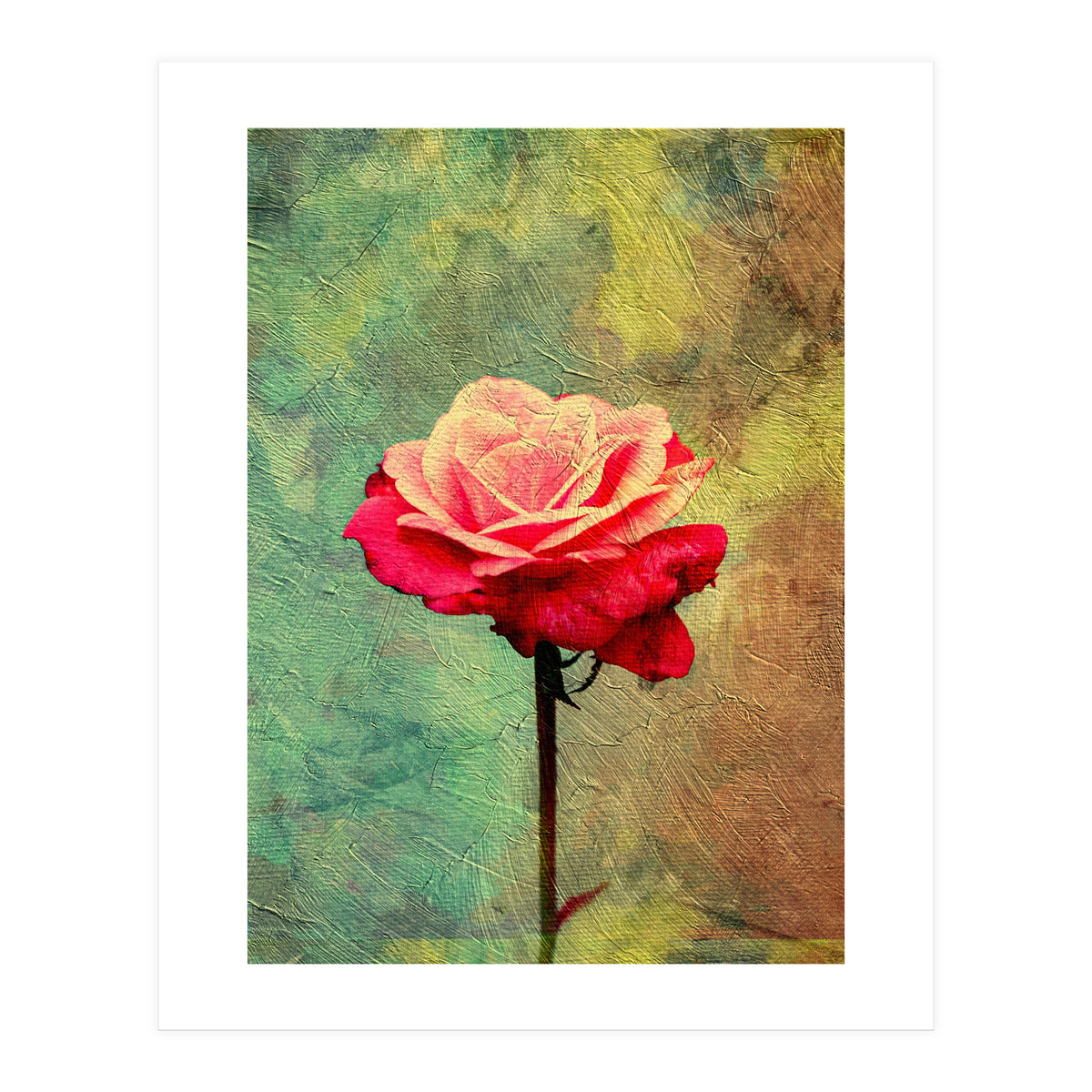 A Vibrant Red Rose  (Print Only)