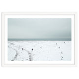 Seagulls in the winter snow beach thumbnail