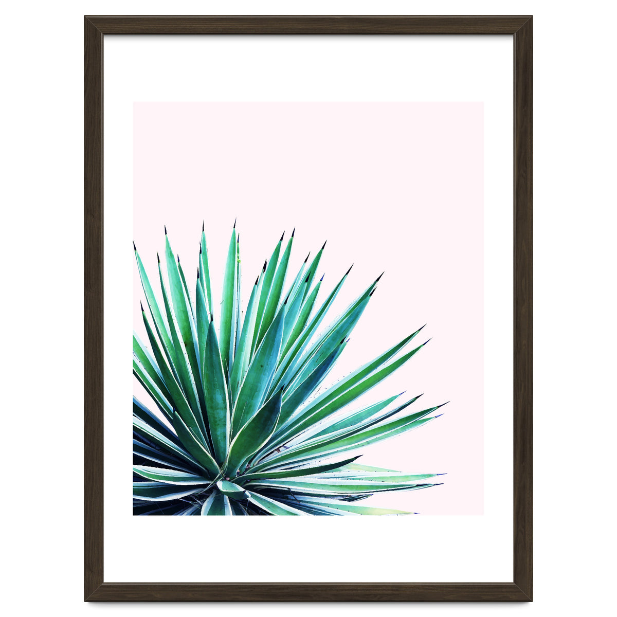 Agave Love #society6 #decor #buyart