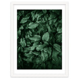 New Foliage Green Ii thumbnail