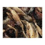 Fish01 (Print Only) thumbnail