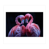 Two Pink Flamingos Forming A Heart Shape (Print Only) thumbnail