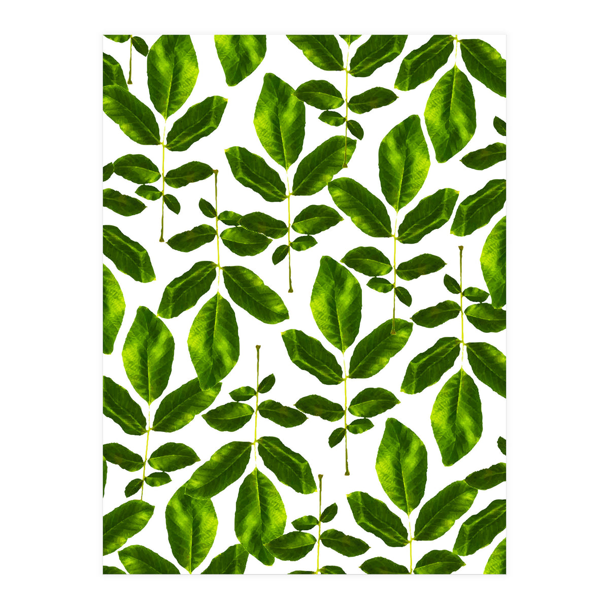 Natural Cure #society6 #decor #buyart (Print Only)