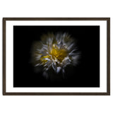 Backyard Flowers No 25 Color Flow Version thumbnail