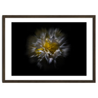 Backyard Flowers No 25 Color Flow Version