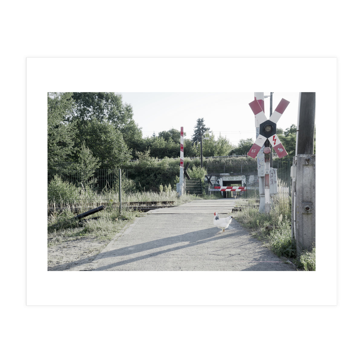 A chicken crossing a railroad (Print Only)