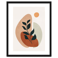Soft Shapes II