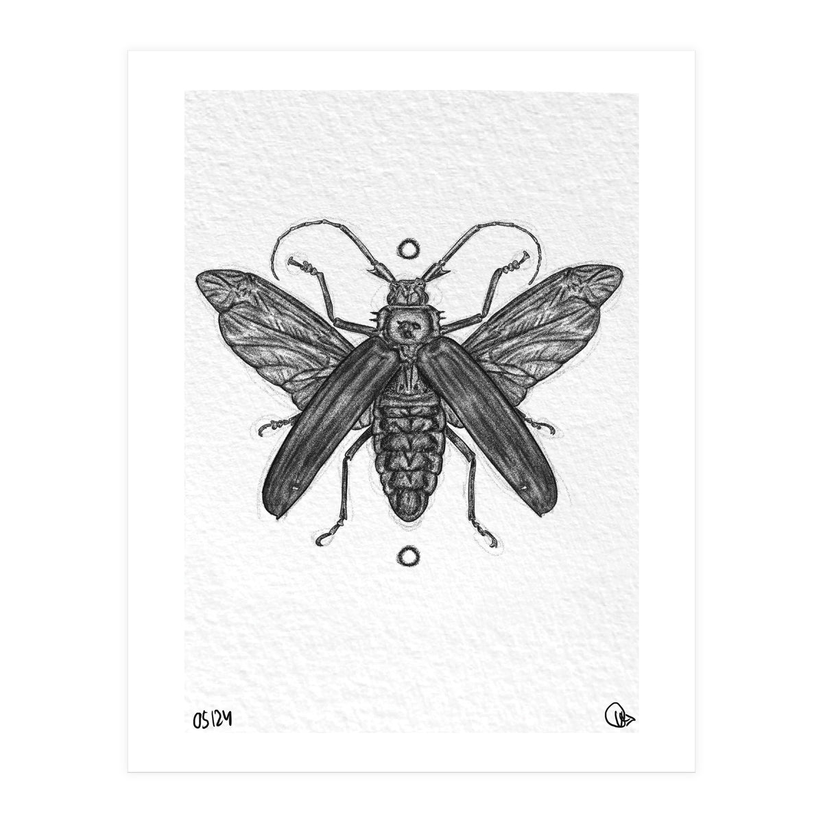 Riesen Longhorn Käfer (Print Only)