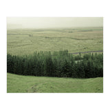 Small forest - Iceland (Print Only) thumbnail