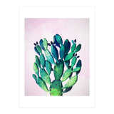 Cactus Three Ways (Print Only) thumbnail