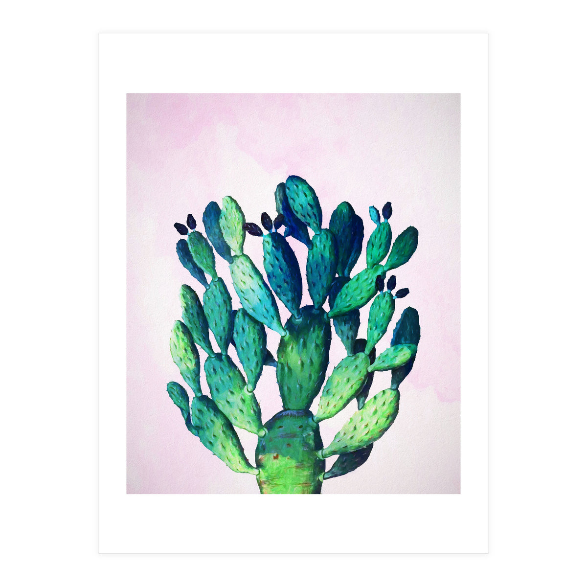 Cactus Three Ways (Print Only)