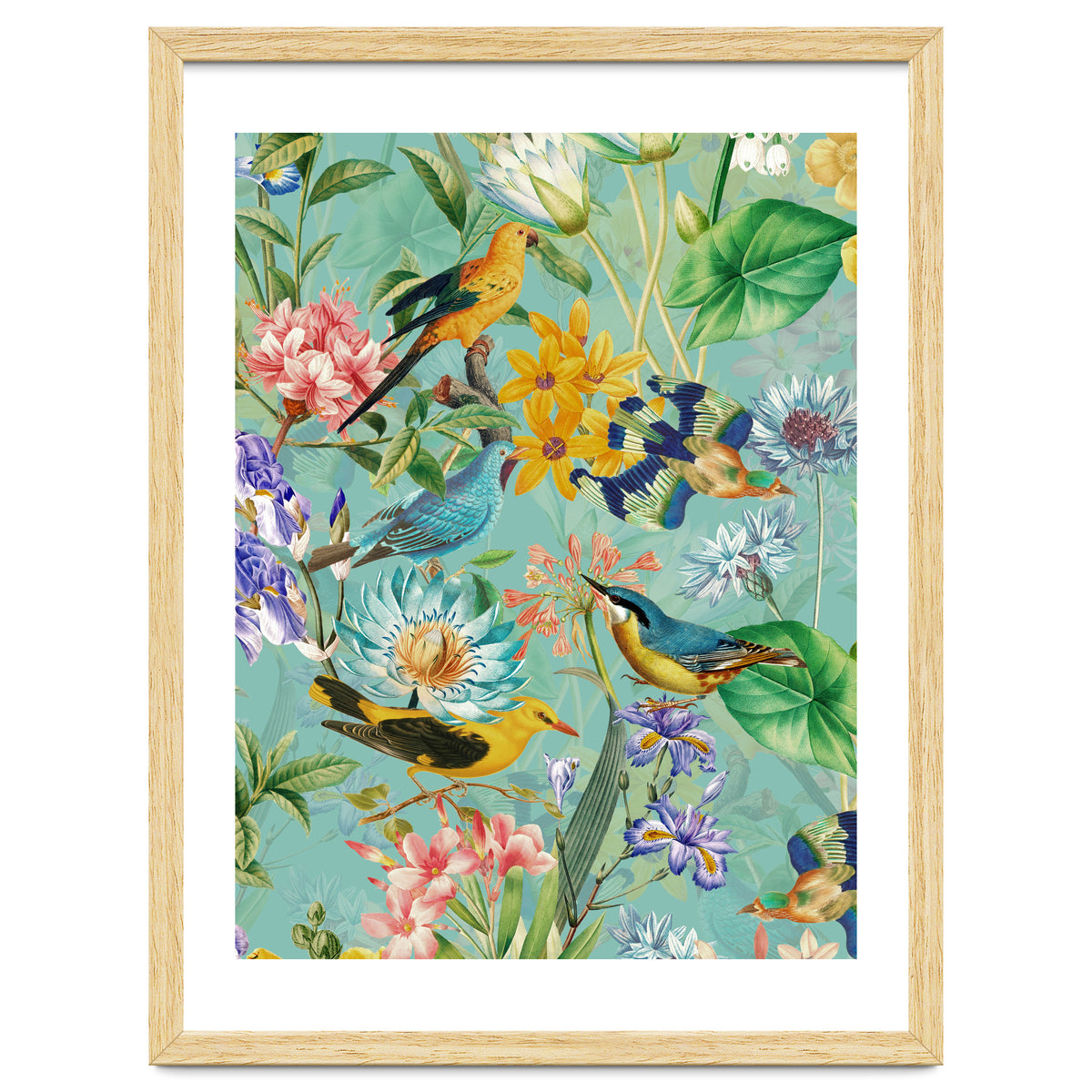 Birds In Tropical Jungle