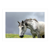 White Horse (Print Only) thumbnail