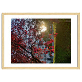 Autumn’s Embrace thumbnail