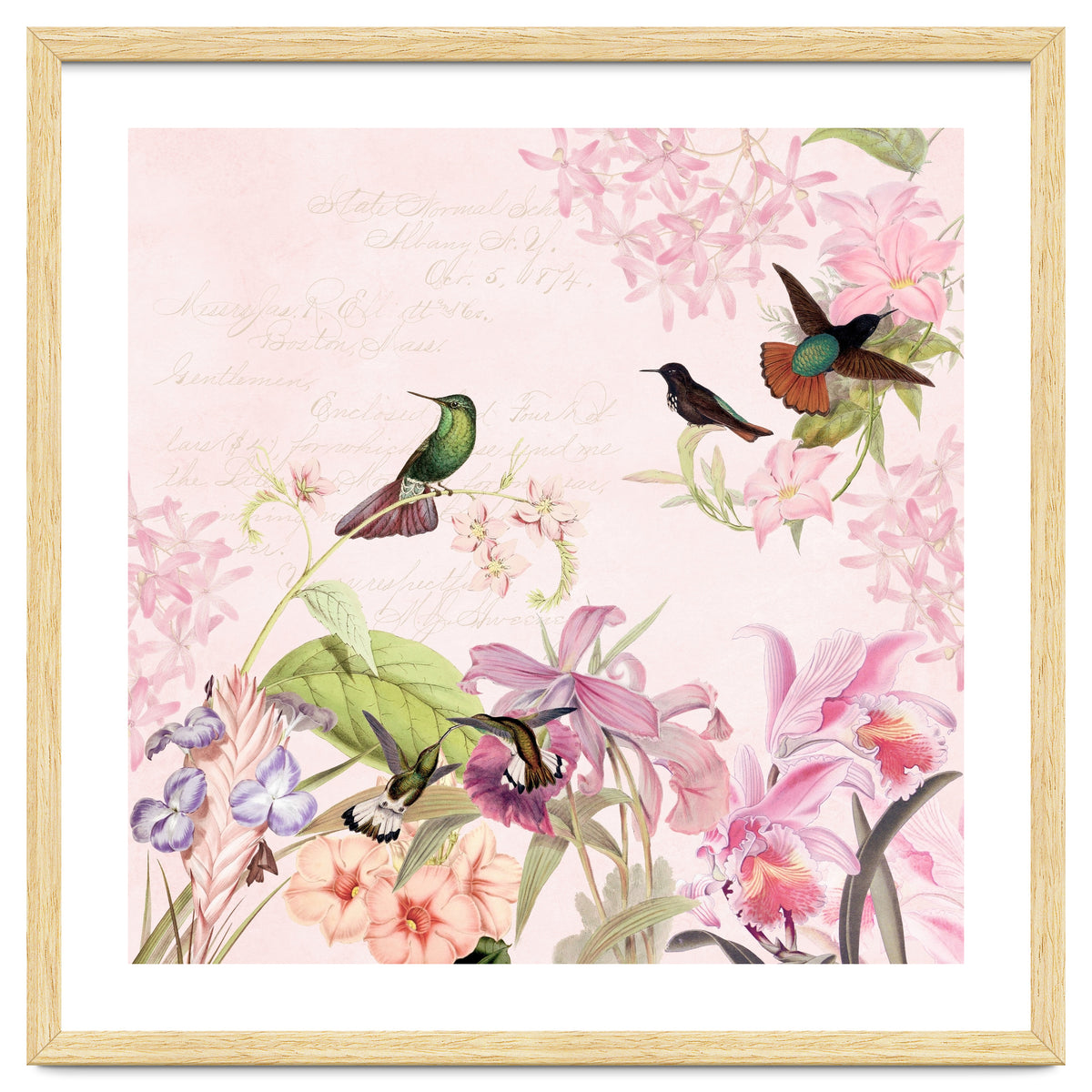Hummingbirds in Flower Jungle