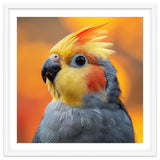 Cockatiel Parrot Close Up thumbnail