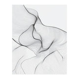 Abstract Black And White Flowing Lines Organic Form (Print Only) thumbnail