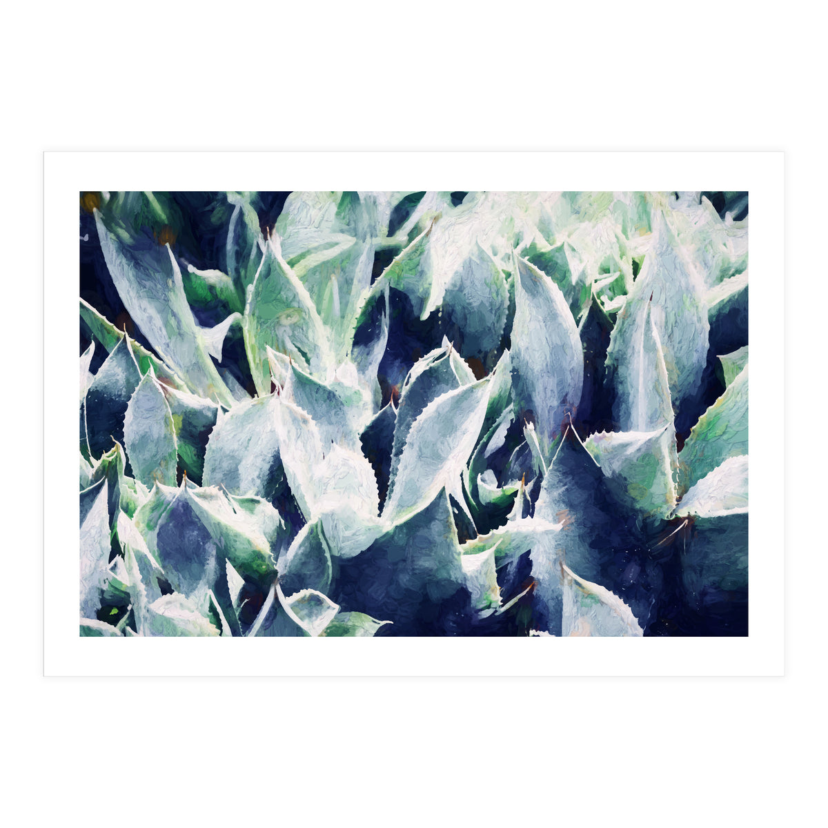 Cactus Garden (Print Only)