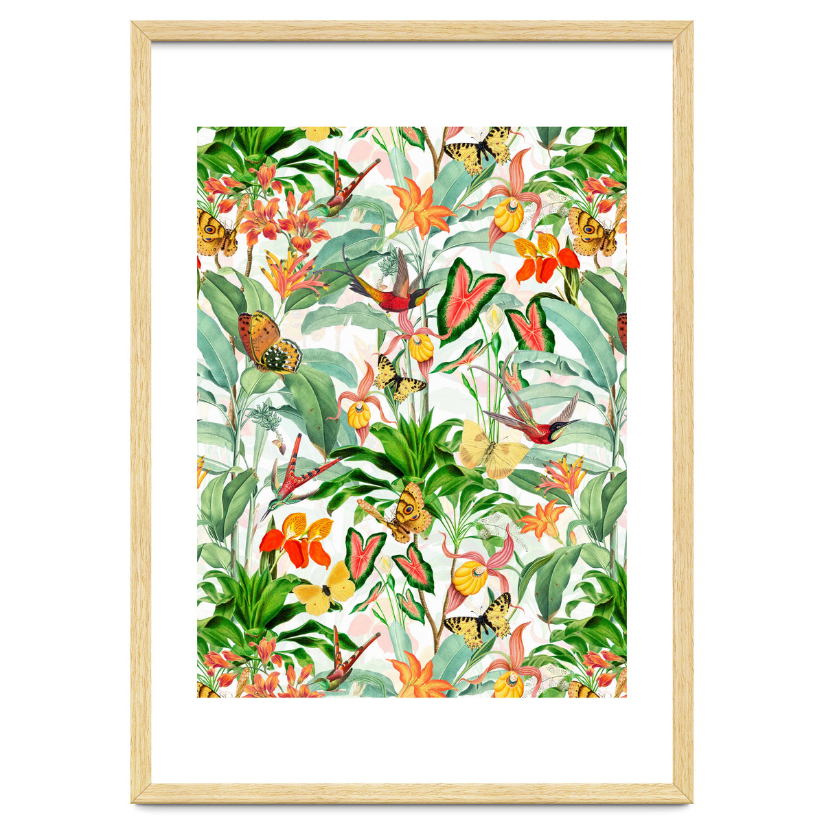 Birds And Butterflies In Tropical Jungle