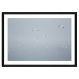 Flying seagulls in the winter sky thumbnail