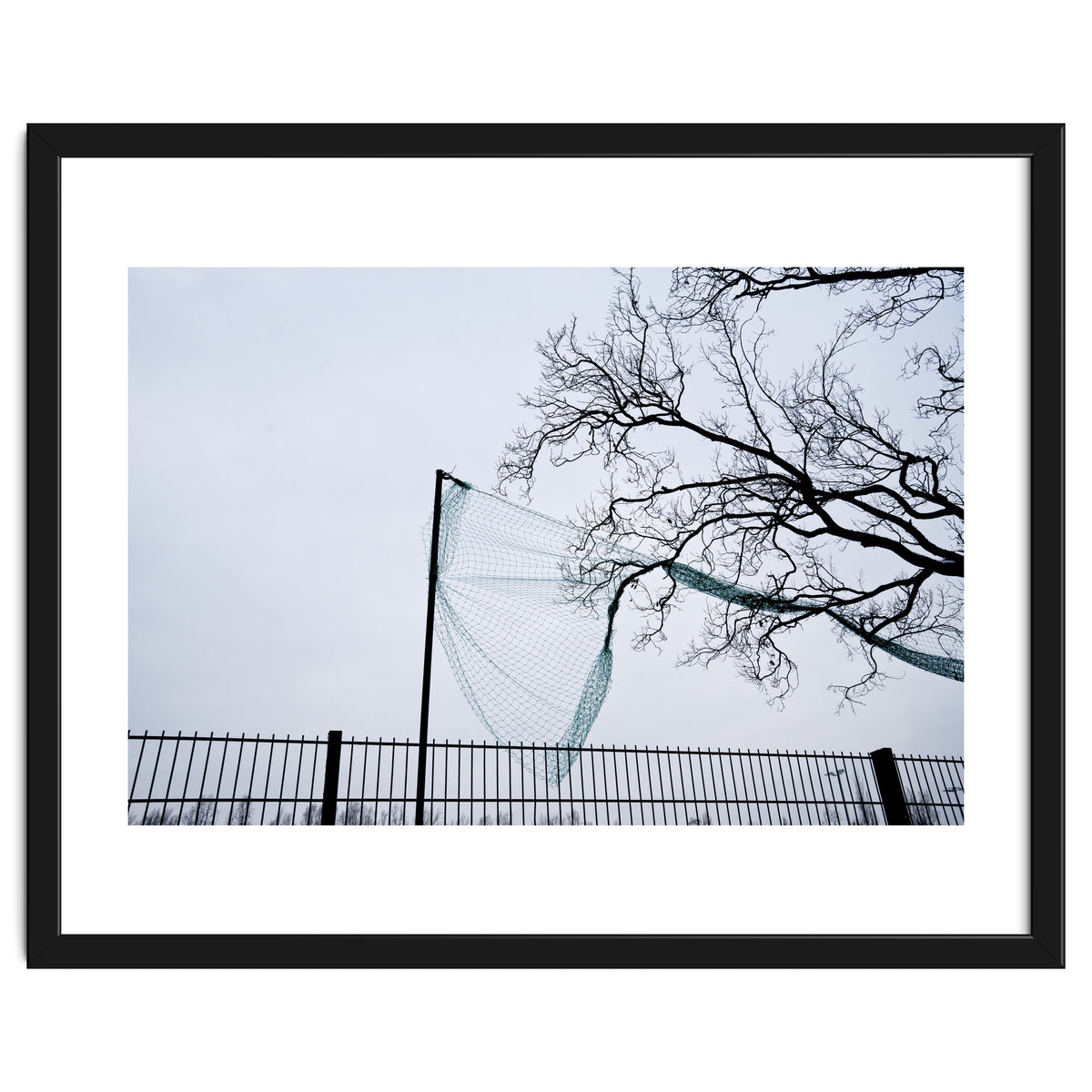 Net caught in a tree