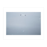 A flying seagull in the winter sky (Print Only) thumbnail