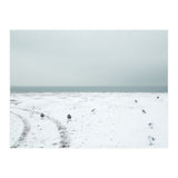 Seagulls in the winter snow beach (Print Only) thumbnail
