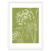 Wildflowers III