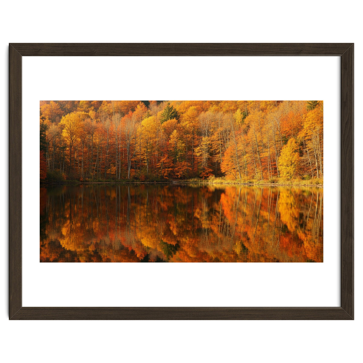 Autumn Reflections