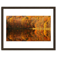Autumn Reflections