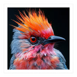 Close Up Of Exotic Bird With Vibrant Plumage (Print Only) thumbnail