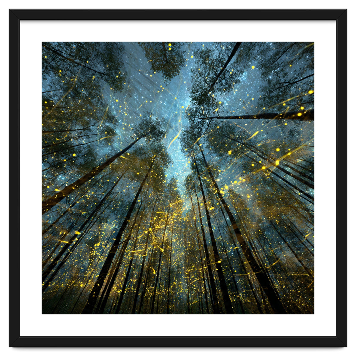 Enchanted Night Forest with Glowing Fireflies