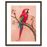 Red Macaw Parrot Bird Forest thumbnail