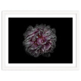 Backyard Flowers No 118 Color Version thumbnail