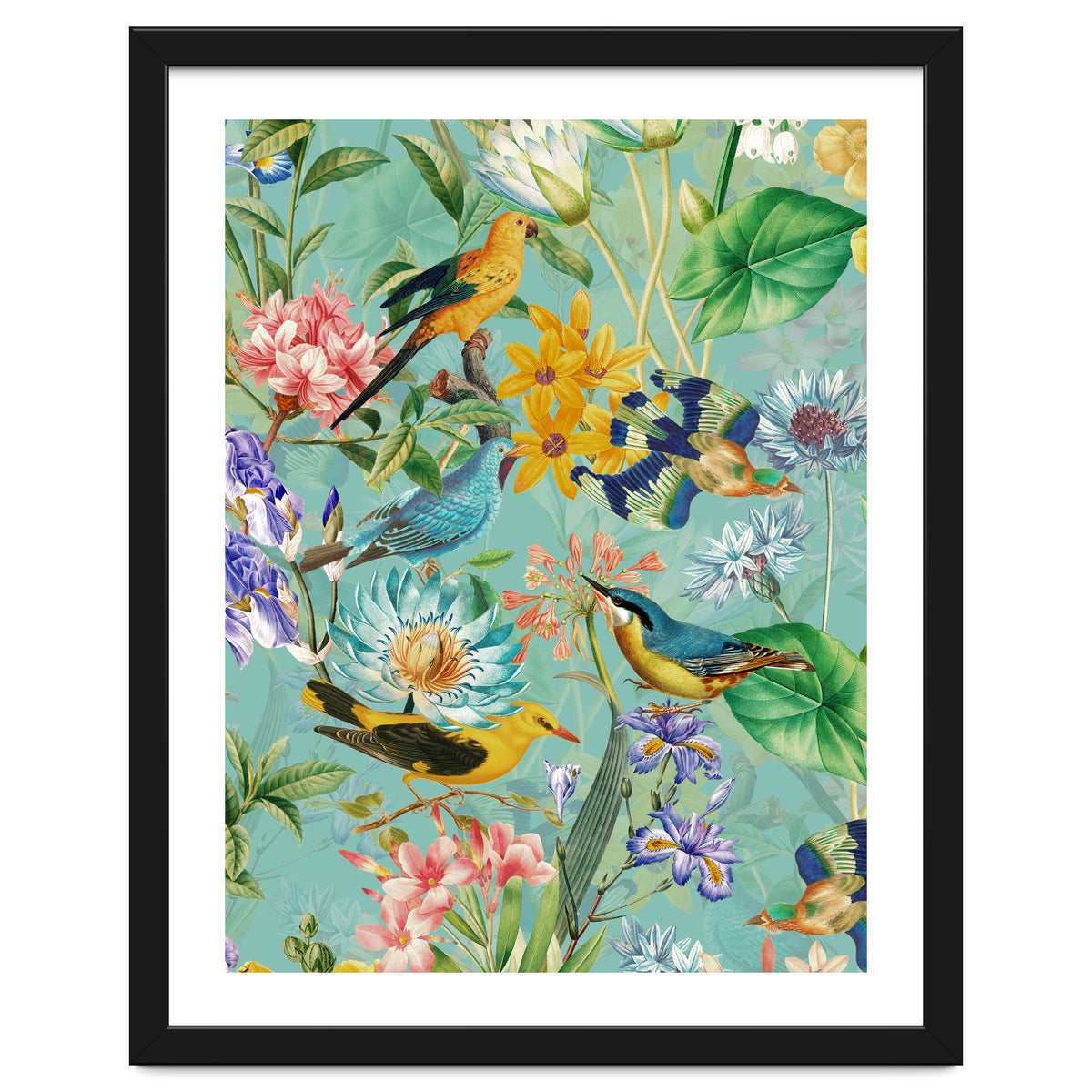 Birds In Tropical Jungle