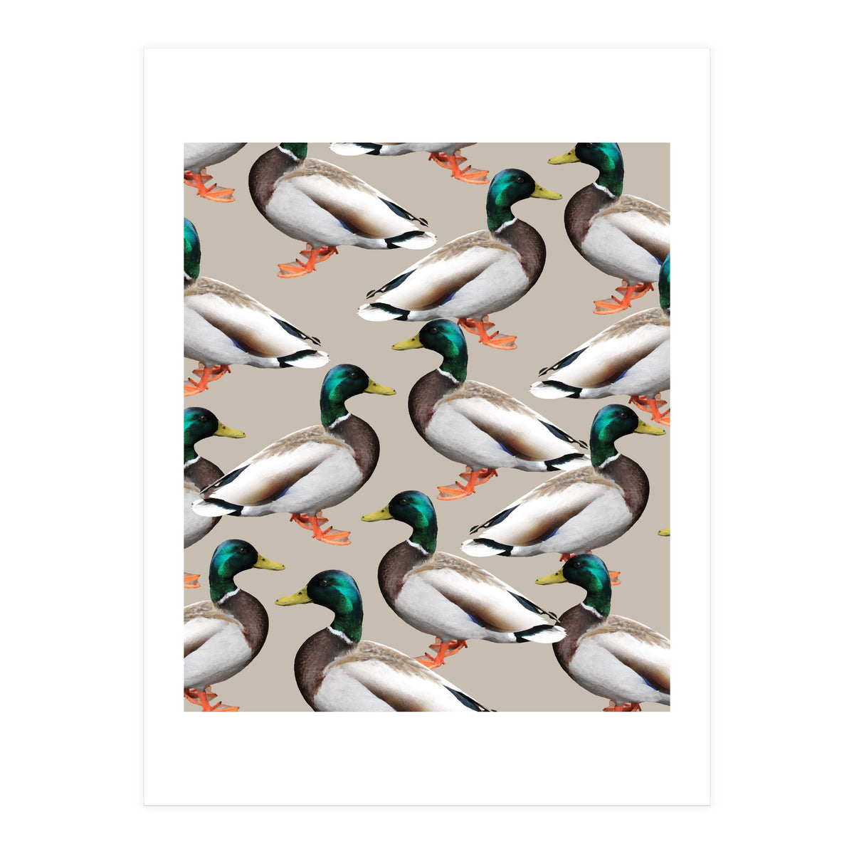 Mallards (Print Only)