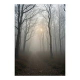 Ethereal Morning Light Breaking Through Dense Forest Fog (Print Only) thumbnail