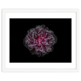 Backyard Flowers No 116 Color Version thumbnail